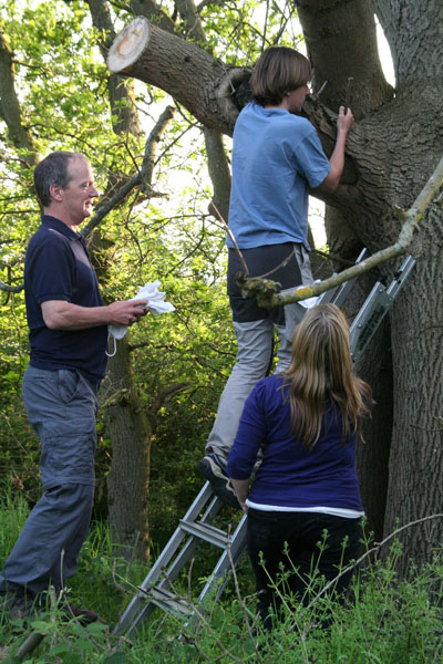 Ringers investigating a nest ©2010 Iain Oldcorn