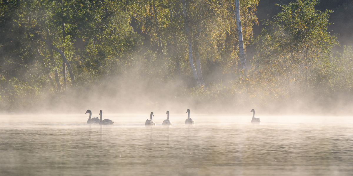 Autumn mist over Colebrook Lake (Copyright © 2023 Peter Craig)
