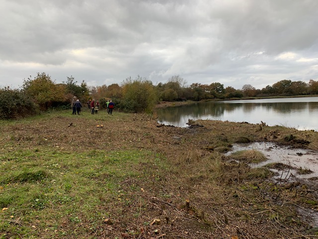 Cleared Northern Shoreline