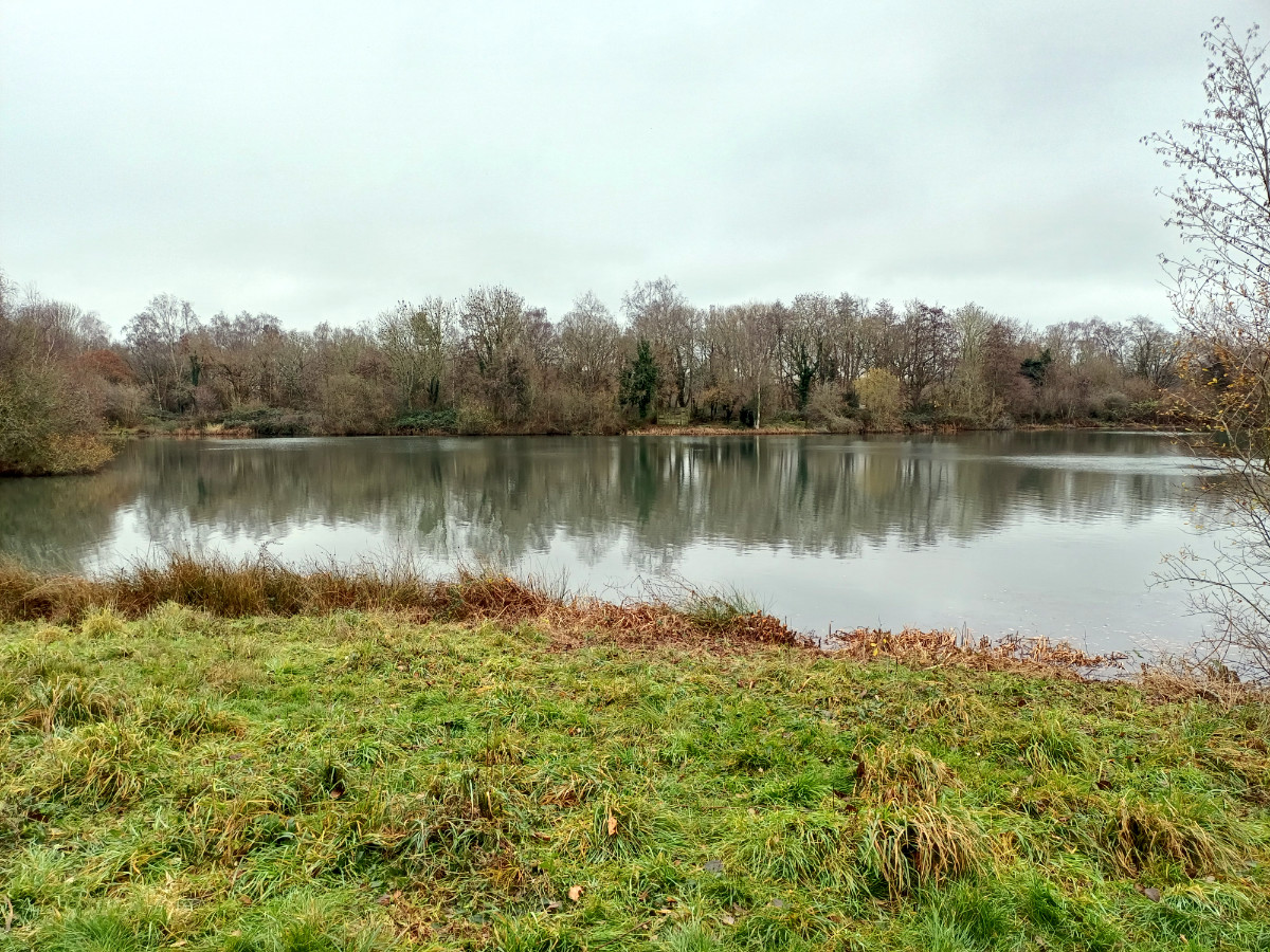 Cleared shoreline Grove Lake